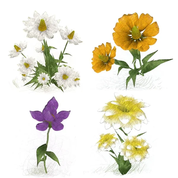 Schöne Aquarellblumen Auf Weißem Hintergrund — Stockfoto
