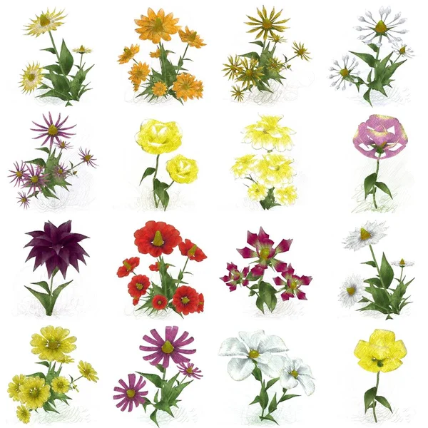 Set Van Aquarel Bloemen Witte Achtergrond — Stockfoto