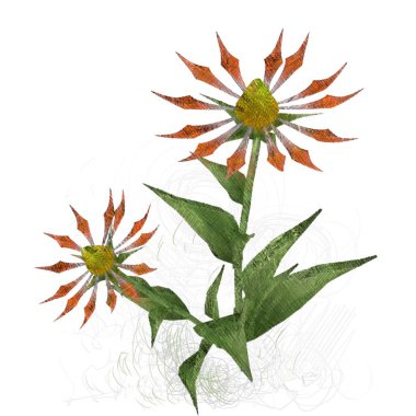 beyaz arka plan üzerinde izole noel yaprakları