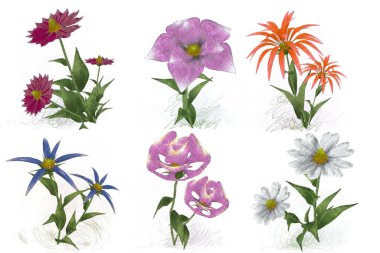 Beyaz arkaplanda izole edilmiş suluboya çiçekleri