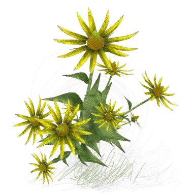 beyaz arkaplanda yeşil yapraklar izole