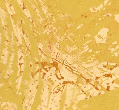 Metin için alanı olan soyut grunge arkaplanı  