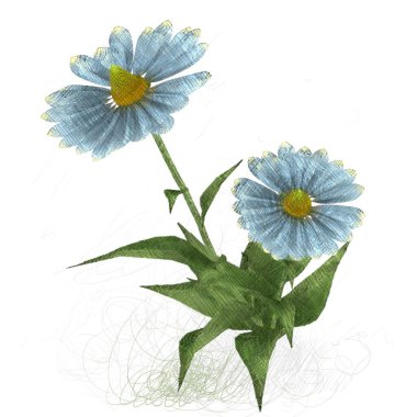 Beyaz arkaplanda güzel çiçekler