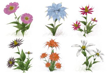 Çiçeklerle kusursuz desen