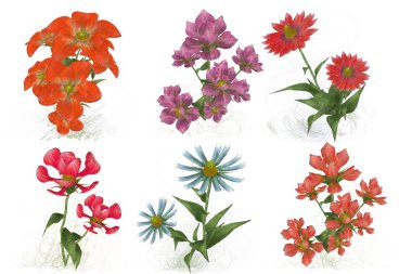 beyaz zemin üzerine suluboya çiçek