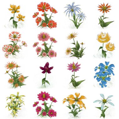 Beyaz arkaplanda güzel çiçekler