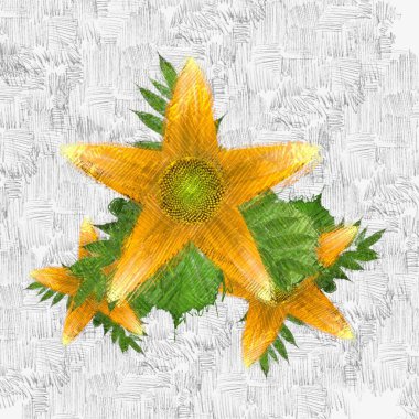 Beyaz arkaplanda sonbahar yaprakları