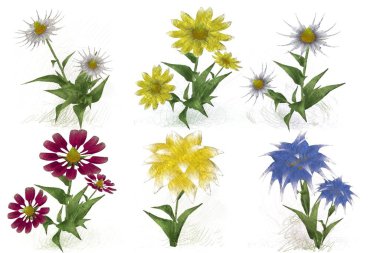 Beyaz arka planda suluboya çiçekler seti