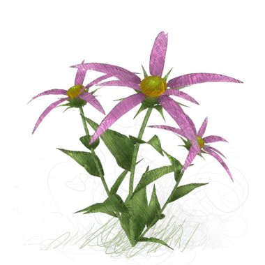 Beyaz arkaplanda güzel çiçekler 