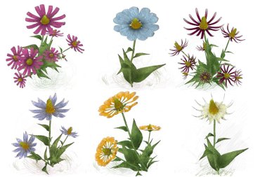 Beyaz arka planda suluboya çiçekler seti