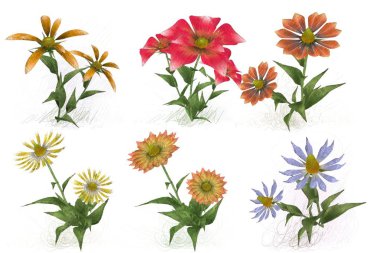 Beyaz arkaplanda güzel çiçekler