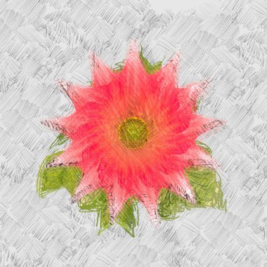 Renkli çiçek doku arka plan 