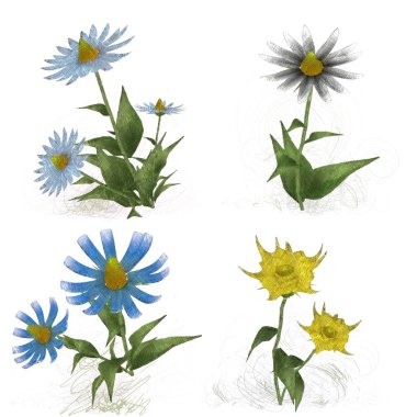 Beyaz arka planda suluboya çiçekler seti