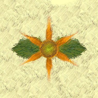 Renkli çiçek doku arka plan 