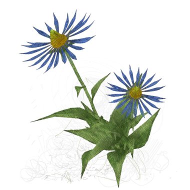 Beyaz zemin üzerine suluboya çiçek