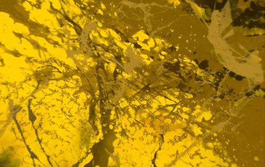 metin için alanı olan grunge arkaplanı  