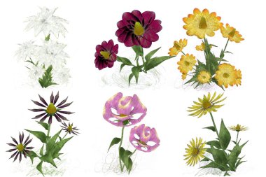 Beyaz arka planda güzel suluboya çiçekler