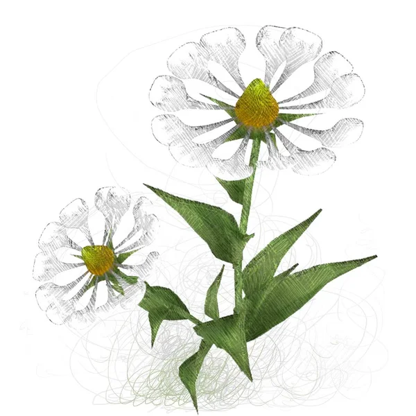 Beyaz Arka Plan Üzerinde Çiçek Suluboya Buket — Stok fotoğraf
