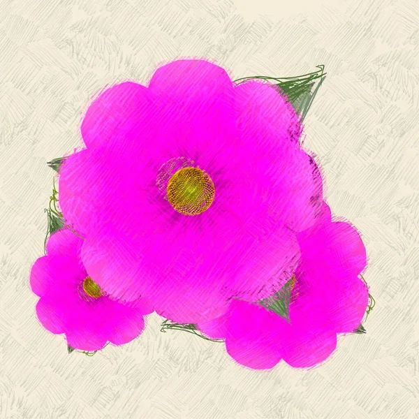 Vaaleanpunaisia Ruusuja Valkoisella Pohjalla — kuvapankkivalokuva