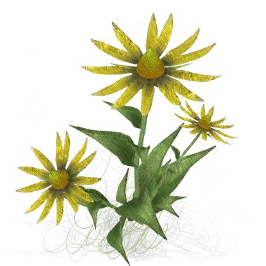 Beyaz arka plan üzerinde izole suluboya