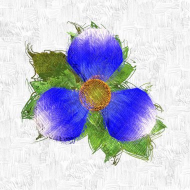 Beyaz arka planda güzel çiçekler