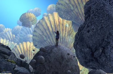 Siyah arka planda güzel çiçekler