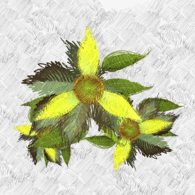 beyaz zemin üzerine suluboya çiçek