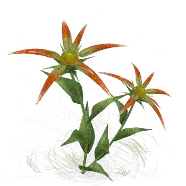 Renkli çiçek doku arka plan 