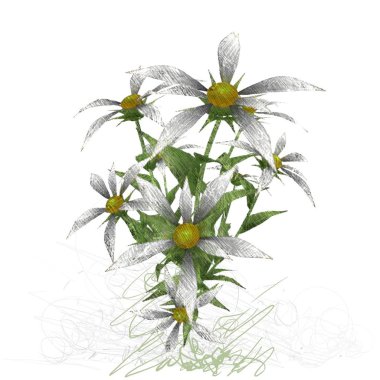 beyaz zemin üzerine suluboya çiçek