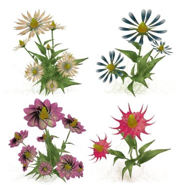 Beyaz arkaplanda izole edilmiş suluboya çiçekleri