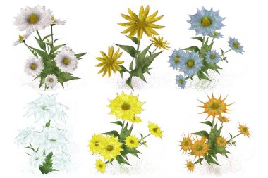 çiçekler ile suluboya çiçek deseni