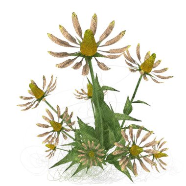 beyaz zemin üzerine suluboya çiçek