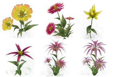 Beyaz arka planda suluboya çiçekler seti