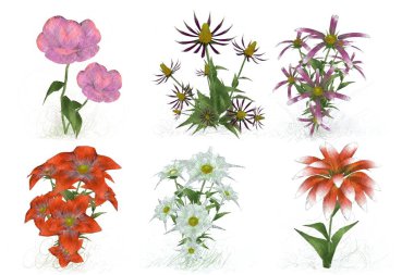 Beyaz arka planda suluboya çiçekler seti