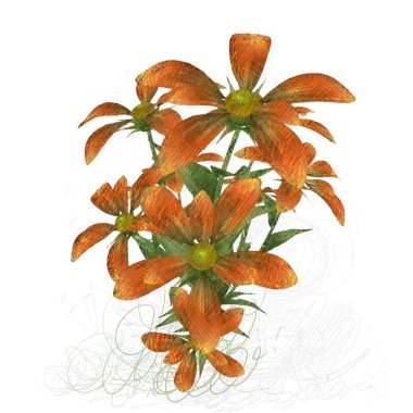 Beyaz arkaplanda güzel çiçekler