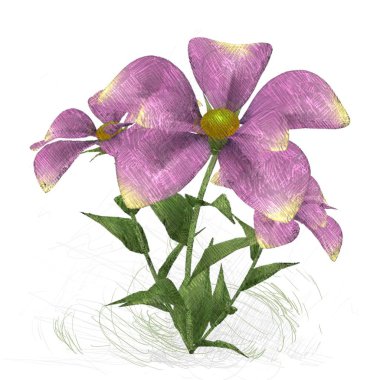 Pembe orkide beyaz arkaplanda izole edildi