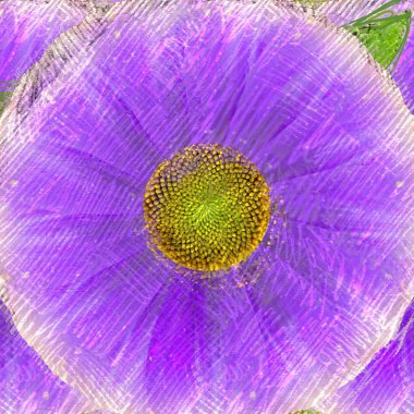 Renkli çiçek doku arka plan 