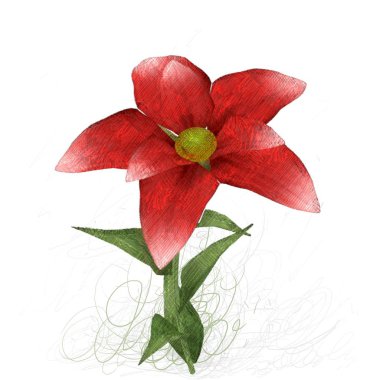 kırmızı gül beyaz arkaplanda izole