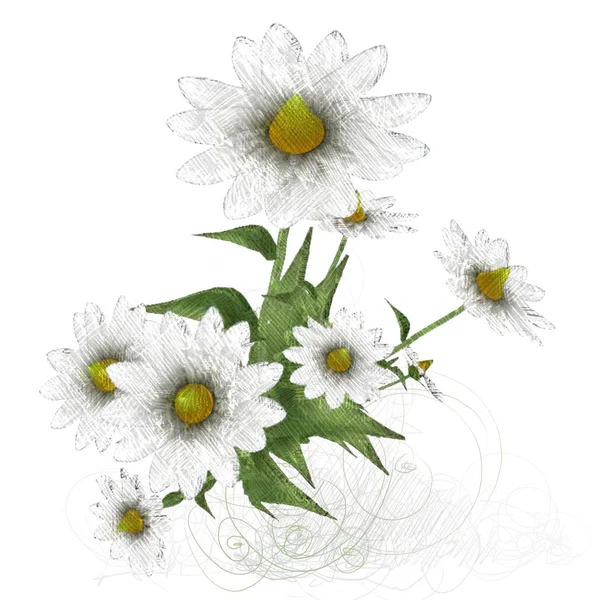 Ακουαρέλα Λουλούδια Άσπρο Φόντο — Φωτογραφία Αρχείου