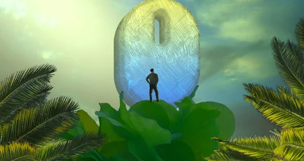 palmiye tropikal ağaç