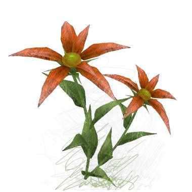 beyaz arkaplanda yeşil yapraklar