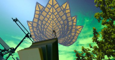 Sahilde güzel çiçekler