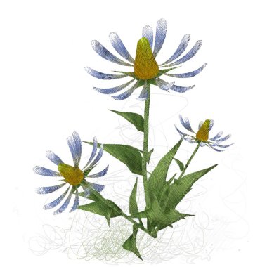 beyaz zemin üzerine suluboya çiçek