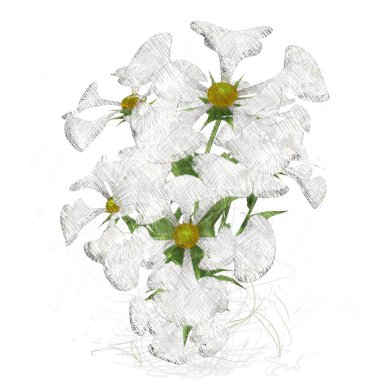 beyaz zemin üzerine suluboya çiçek