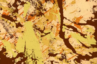 Sonbahar yapraklarının soyut arkaplanı