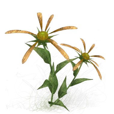 Beyaz arkaplanda izole edilmiş palmiye ağacı