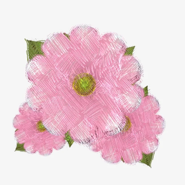Fiore Rosa Isolato Sfondo Bianco — Foto Stock
