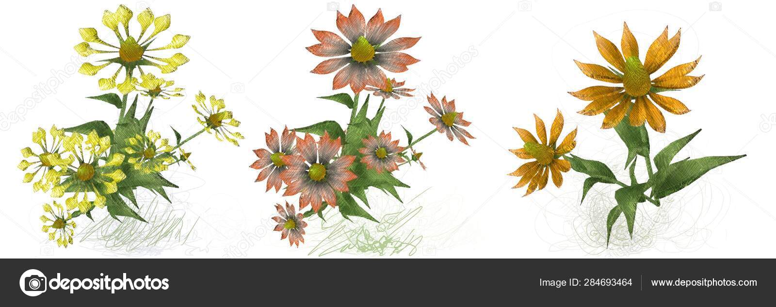 Set Watercolor Flowers White Background Stock Photo by ©nordenworks ...