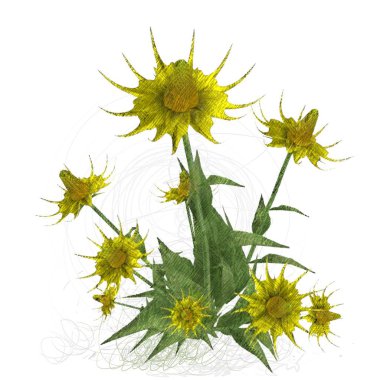 Beyaz arka planda izole dağınık grungy çiçekler