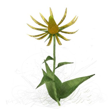 beyaz zemin üzerine suluboya çiçek